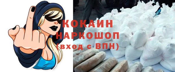 стаф Магас