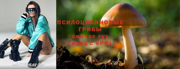 скорость Абаза