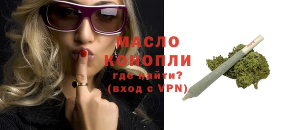 стаф Магас
