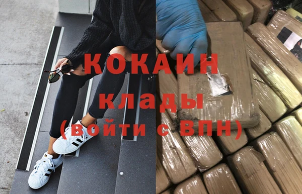 прущие грибы Абдулино