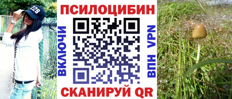 наркота  Рыльск  MEGA онион  Галлюциногенные грибы прущие грибы 